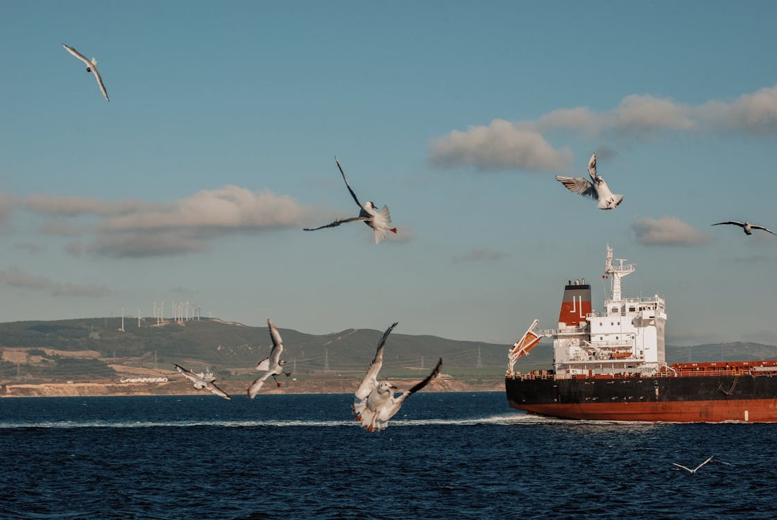 çanakkale ambar