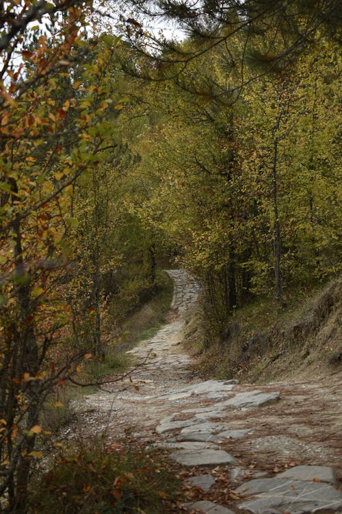 kastamonu ambar