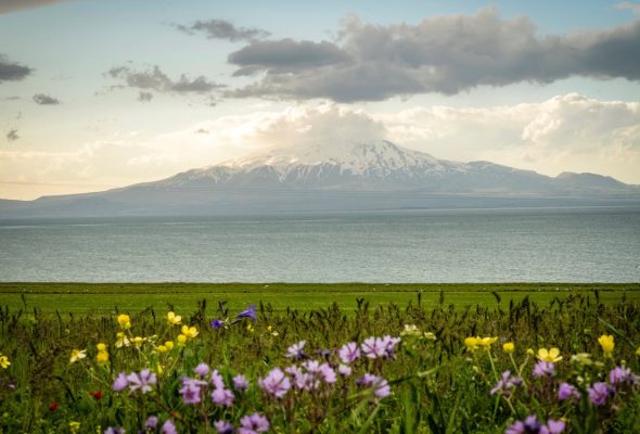 bitlis ambar